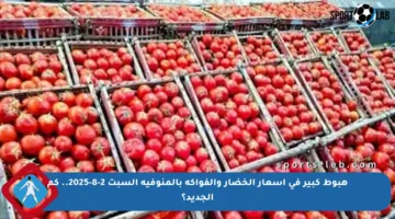 هبوط كبير في أسعار الخضار والفواكه بالمنوفية السبت 2-8-2025.. كم الجديد؟